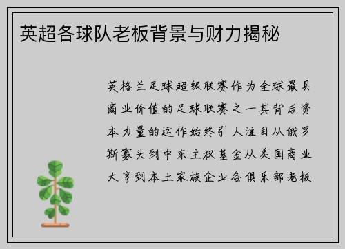 英超各球队老板背景与财力揭秘